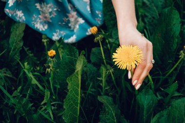 Kadınlar yeşil çimlerin üzerinde sarı bir çiçeğe nazikçe dokunurlar. Kopyala, metin için boşluk