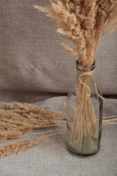 Nature Morte Bouquet Fleurs Séchées Dans Une Bouteille Verre Sur — Photo