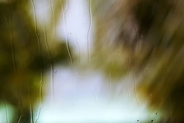 Fresh rain splash drops on a window with background green nature in Blur