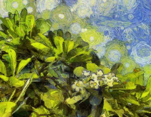 Квіти Сливи Ілюстрації Створюють Імпресіоністський Стиль Живопису — стокове фото