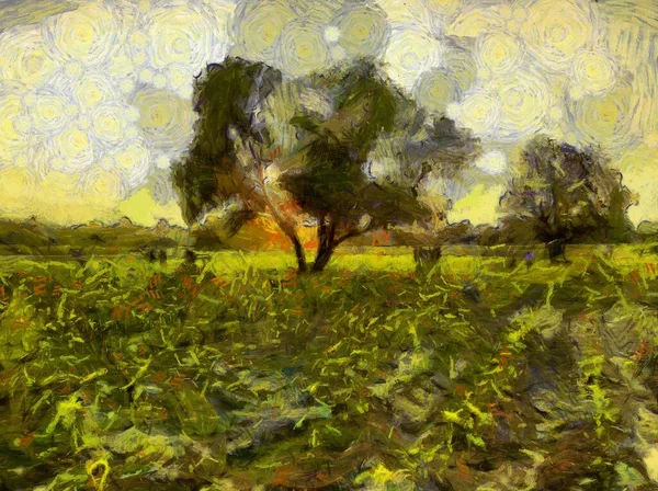 Landscape plants Illustrations creates an impressionist style of painting.