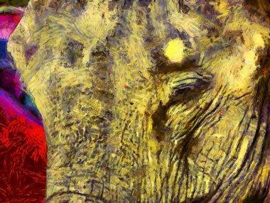 Ayutthaya Illustrations 'da turistlere yönelik yolcu hizmetleri için fil yetiştirmek izlenimci bir resim tarzı yaratıyor.