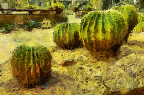 Cactus Une Forme Sphérique Illustrations Crée Style Impressionniste Peinture — Photo