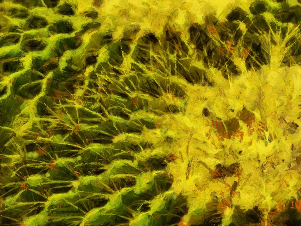 Cactus Has Spherical Shape Illustrations Creates Impressionist Style Painting — Stock Photo, Image