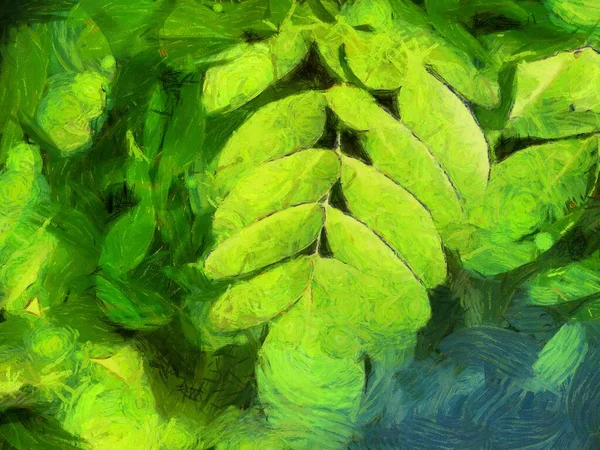 Leaves in the bush  Illustrations creates an impressionist style of painting