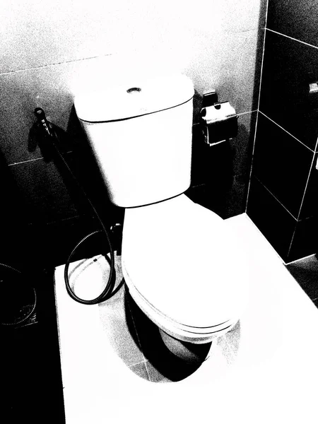 Chasse Eau Dans Les Toilettes Illustrations Noir Blanc — Photo