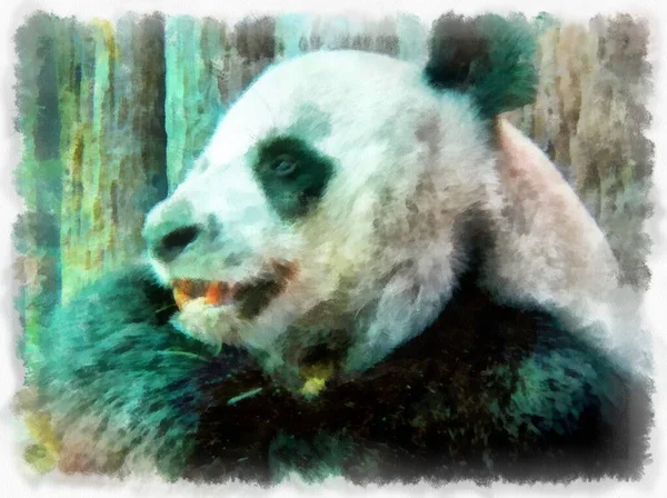 Panda Akvarell Stil Illustration Impressionist Målning — Stockfoto