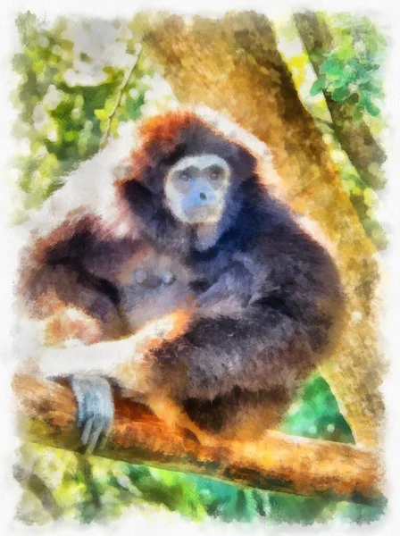 Gibbon Aquarela Estilo Ilustração Impressionista Pintura — Fotografia de Stock