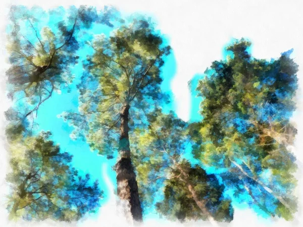 Высокие Сосны Стиле Лесной Акварели — стоковое фото