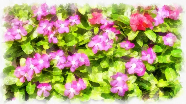 Pink Flowers Bush Watercolor Style Illustration Impressionist Painting — Stock Photo, Image
