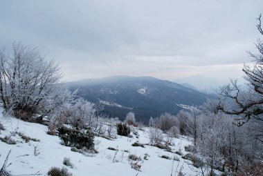 kışın karlı Karpat Dağları'nın güzel manzara