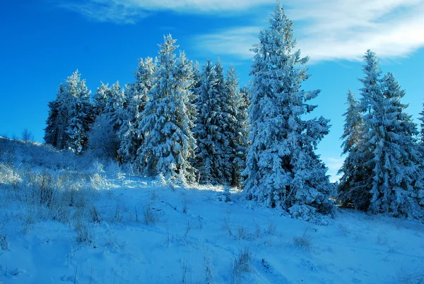 Muhteşem kış karlı dağ manzarası