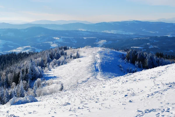 Bela vista das montanhas dos Cárpatos cobertas de neve no inverno — Fotografia de Stock