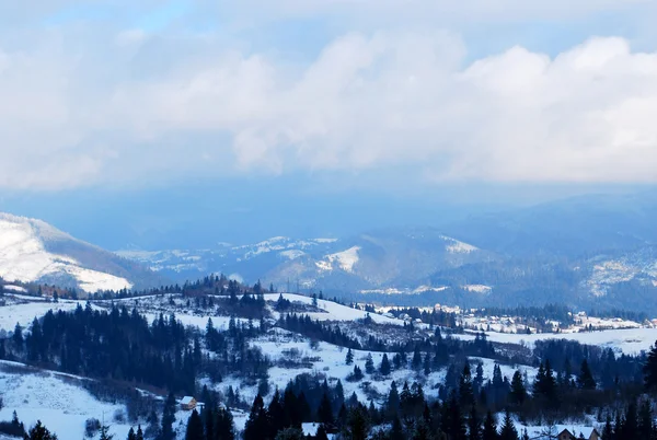 kışın karlı Karpat Dağları'nın güzel manzara
