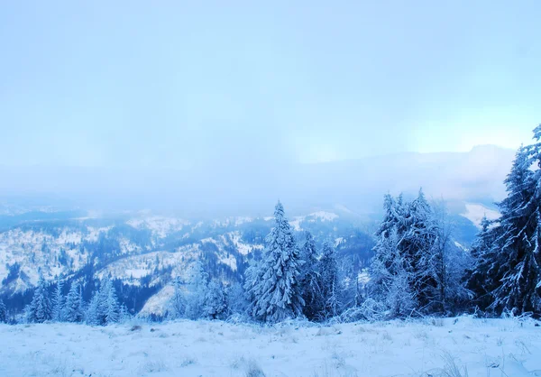 Fabuloso inverno nevado paisagem de montanha — Fotografia de Stock