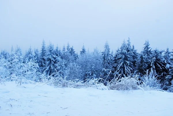 Muhteşem kış karlı dağ manzarası