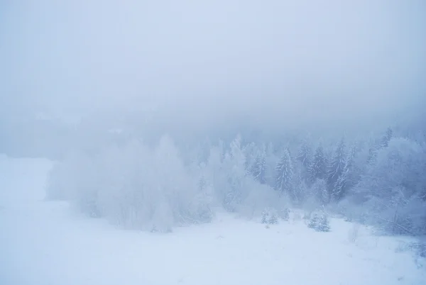 Bela vista do nevoeiro o topo das montanhas dos Cárpatos no inverno — Fotografia de Stock