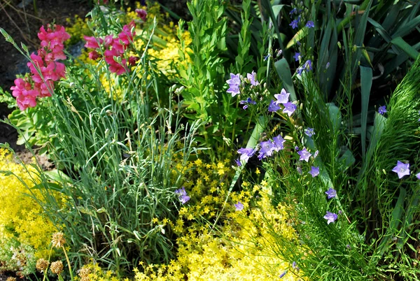 güzel yatak yaz çiçek