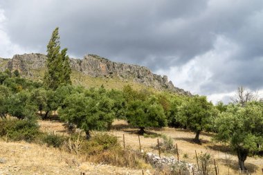 Sierra de Grazalema doğal parkı, Cadiz ili, Malaga, Endülüs, İspanya