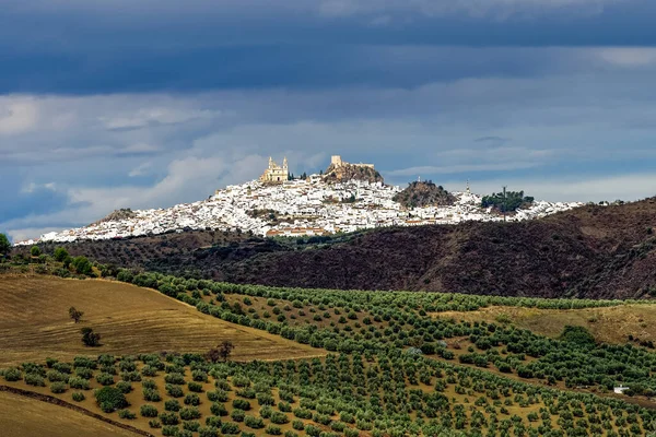 Вид Деревню Ольвера Одну Красивейших Белых Деревень Пуэбло Бланкос Андалусии — стоковое фото