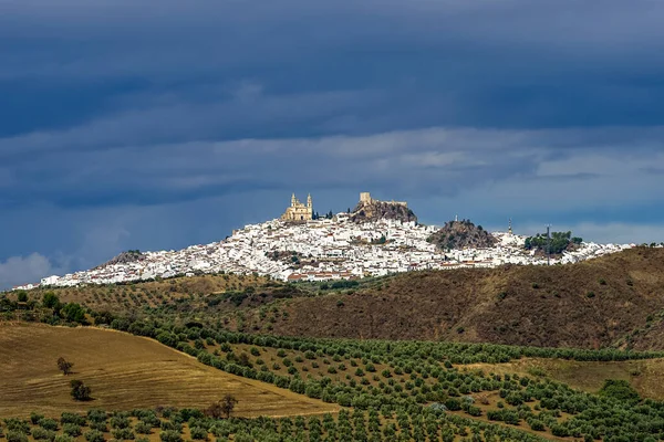 Vista Aldeia Olvera Uma Das Belas Aldeias Brancas Pueblos Blancos — Fotografia de Stock