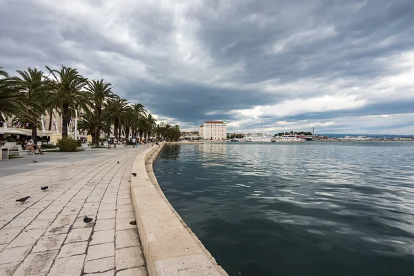 Split Croatia Jun 2020 Splitska Riva Promenade Palm Trees Harbor — Stock Photo, Image