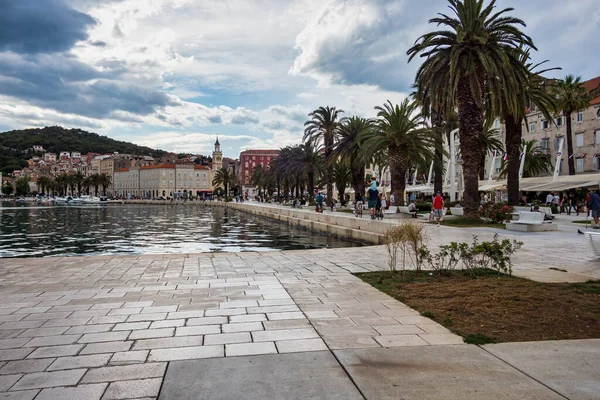 Split Croatia Jun 2020 Splitska Riva Promenade Palm Trees Harbor — Stock Photo, Image