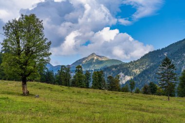 Ahornboden 'daki akçaağaç ağaçlarının sonbahar manzarası, Karwendel dağları, Tyrol, Avusturya