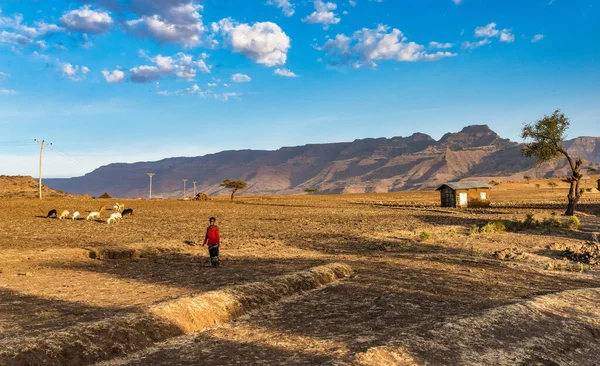 Lalibela Etiopía Febrero 2020 Pueblo Etíope Visto Camino Lalibela Gheralta — Foto de Stock