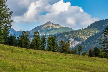 Ahornboden 'daki akçaağaç ağaçlarının sonbahar manzarası, Karwendel dağları, Tyrol, Avusturya