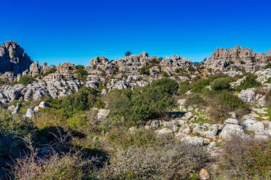 Kayaların eşsiz şekli, 150 milyon yıl önce Jurasik Çağı sırasında meydana gelen erozyondan kaynaklanmaktadır. Tüm dağ, deniz suyu altındaydı. Torcal de Antequera