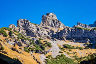 Ahornboden 'daki akçaağaç ağaçlarının sonbahar manzarası, Karwendel dağları, Tyrol, Avusturya