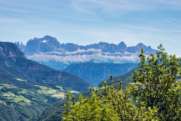 Güney Tyrol Daki Dağların Güzel Manzarası Karışık Çam Yaprak Döken — Stok fotoğraf