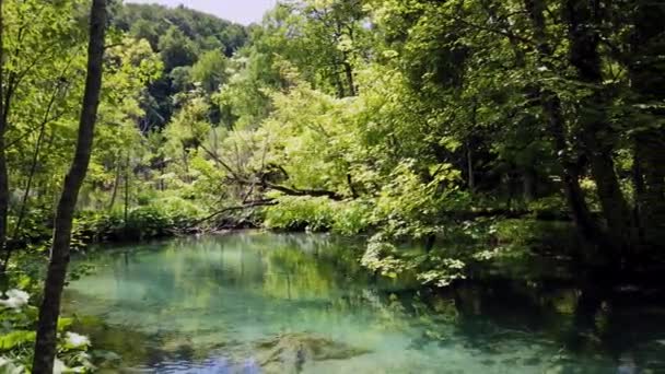 クロアチアのプリトヴィツェ湖国立公園の美しい風景 クロアチアで最も古く最大の国立公園の一つ 1979年にユネスコの世界遺産に登録された — ストック動画