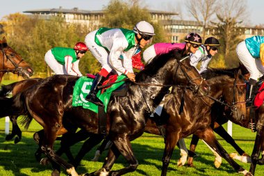 Münih, Almanya - 07 Ekim 2019: Münih-Riem, Almanya, Avrupa 'da at yarışı