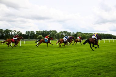 Münih, Almanya - 07 Ekim 2019: Münih-Riem, Almanya, Avrupa 'da at yarışı