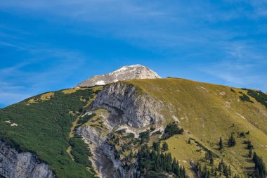 Ahornboden 'daki akçaağaç ağaçlarının sonbahar manzarası, Karwendel dağları, Tyrol, Avusturya