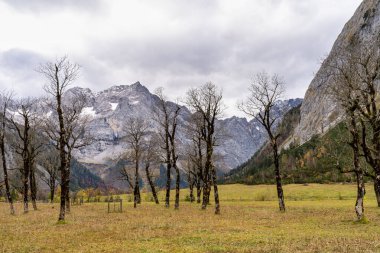 Ahornboden 'daki akçaağaç ağaçlarının sonbahar manzarası, Karwendel dağları, Tyrol, Avusturya