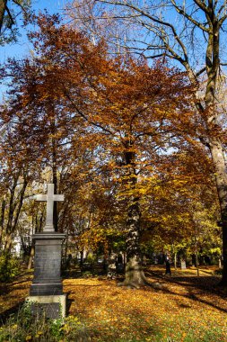 Tarihi mezar taşlarıyla ünlü Münih Eski Kuzey Mezarlığı manzarası. Cenazeler 1944 'ten beri burada yapılmadı. Bunun yerine mezarlık bir park olarak kullanılıyor..