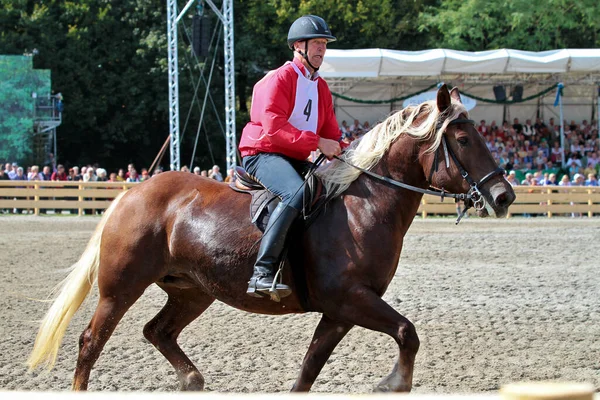 ミュンヘン ドイツ 2018年9月26日 ミュンヘンのオクトーバーフェストでの競馬 — ストック写真