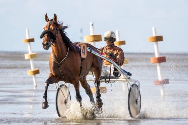 Cuxhaven, Almanya - 25 Ağustos 2019: Almanya 'da Duhner Wattrennen' daki çamurlu düzlükte at yarışında binicilik