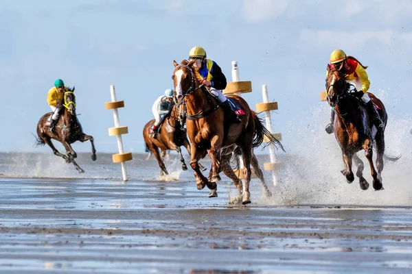 ドイツ クックスハーフェン 2019年8月25日 ドイツのドゥーナー ヴァトレンネンで開催される泥のフラットの馬レースでの乗馬 — ストック写真