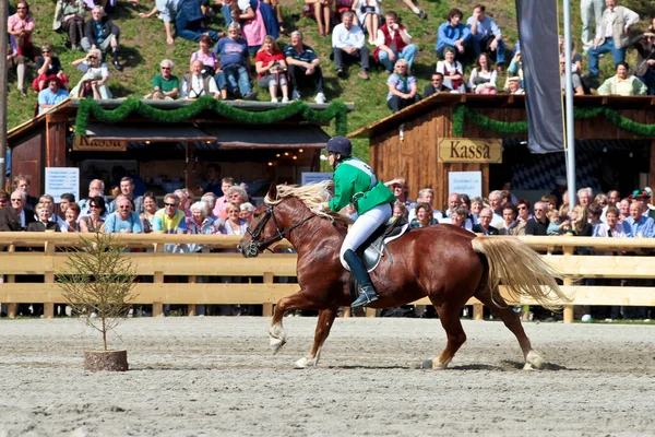 Monachium Niemcy Września 2018 Wyścig Konny Oktoberfest Monachium Niemcy — Zdjęcie stockowe