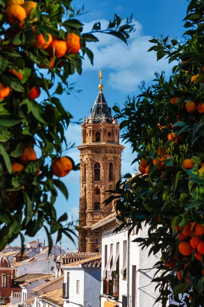 西班牙安达卢西亚马拉加省Antequera的圣塞巴斯蒂安教堂塔 — 图库照片