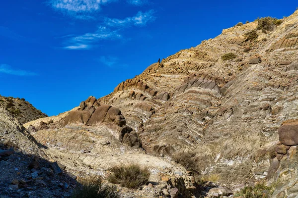 Dragon Tail Colas Dragon Tabernas Desert Almeria Spain Geological Erosion — Stock Photo, Image