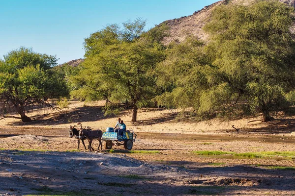 Sesfontein Namibia Juli 2019 Namibische Männer Mit Ihren Eseln Gesehen — Stockfoto