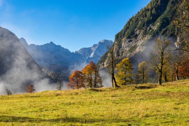 Ahornboden 'daki akçaağaç ağaçlarının sonbahar manzarası, Karwendel dağları, Tyrol, Avusturya