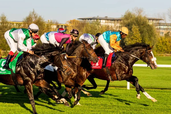 Munich Alemania Oct 2019 Carreras Caballos Hipódromo Munich Riem Alemania —  Fotos de Stock