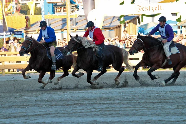 Múnich Alemania Septiembre 2018 Carrera Caballos Oktoberfest Múnich Alemania —  Fotos de Stock