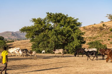 Tis Issat, Etiyopya - Şubat 05, 2020: Mavi Nil Şelalesi yakınlarında yaşayan insanlar, Tis-Isat Şelalesi, yani Etiyopya 'nın Amara bölgesindeki Amharic' te büyük bir duman